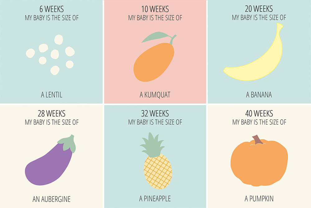 Sizes Of Baby During Pregnancy